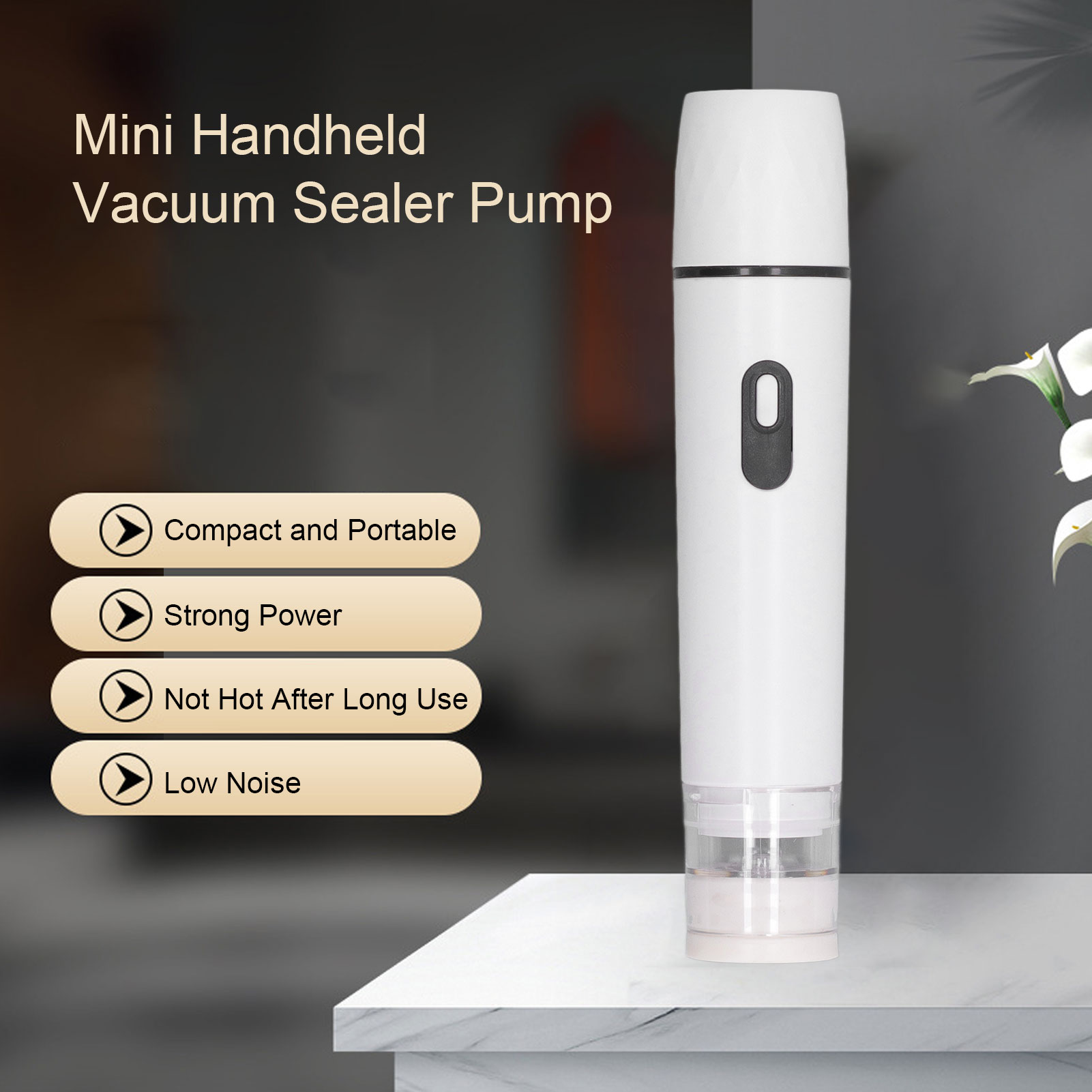 Electric Air Pump Handheld Vac - Food Storage Vacuum ulasan dan harga