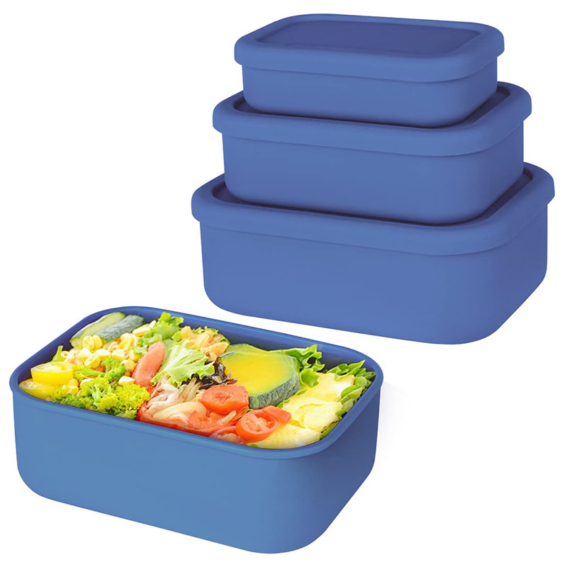 Leak-Resistant Bento Lunch Box - Food Storage Prep Containers ulasan dan harga